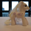 Painted Pony
