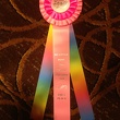 First Place Ribbon
