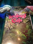 Rainforest Caf